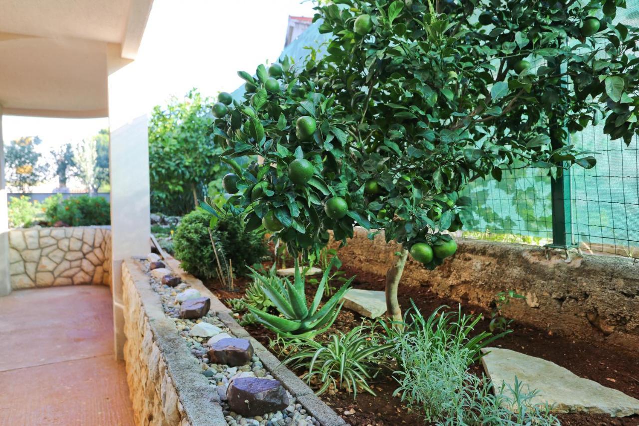 Apartman Dani Zara Esterno foto